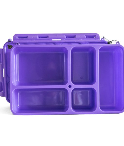 Go Green Lunch Box Set ~ Purple