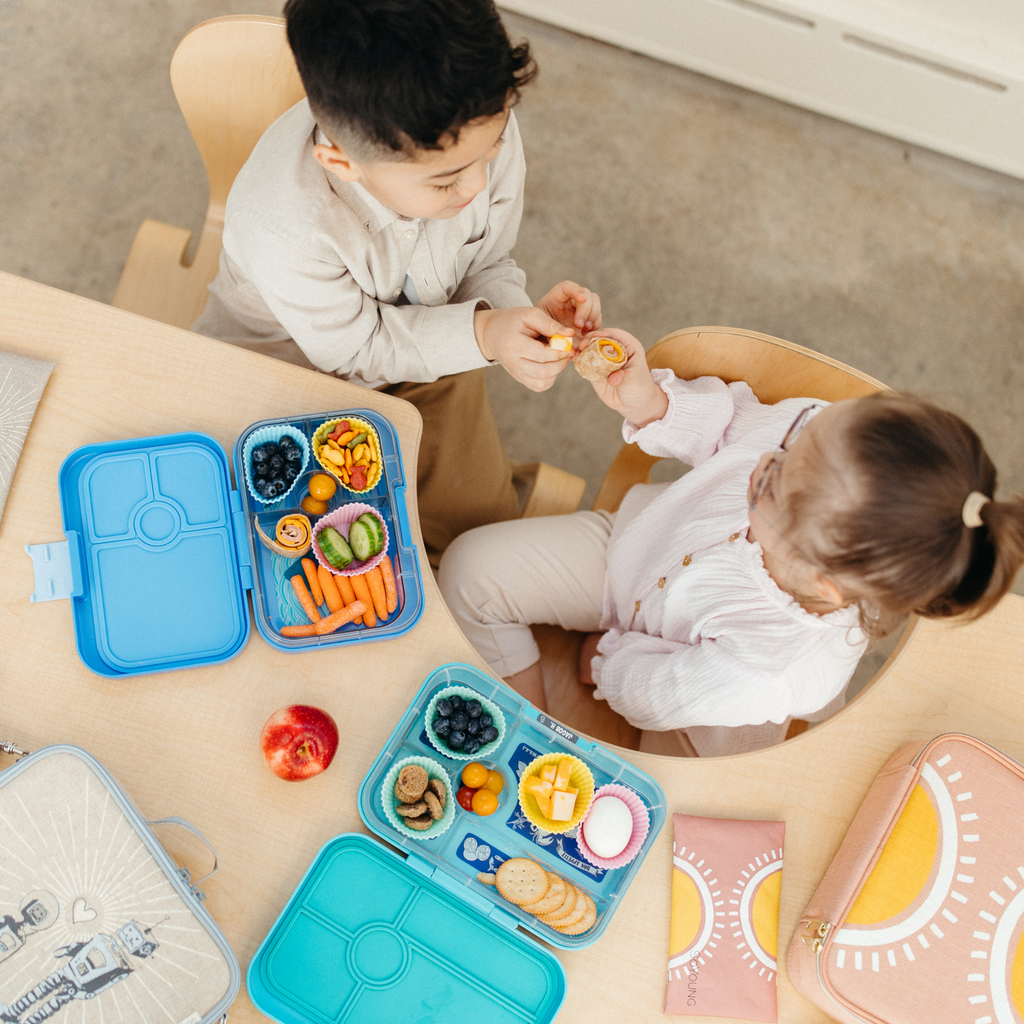 So Young Insulated lunch box -Robot Playdate